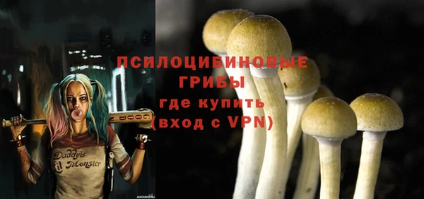 соль курить ск Горнозаводск