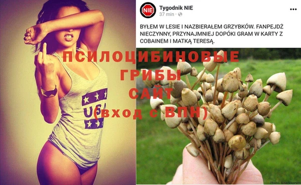 соль курить ск Горнозаводск
