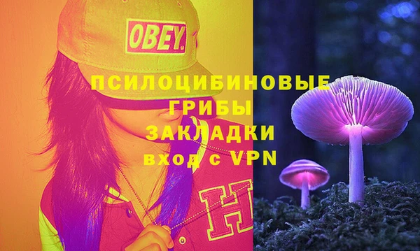 бошки Горняк