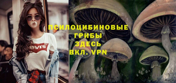 бошки Горняк