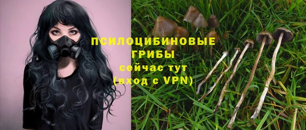 бошки Горняк