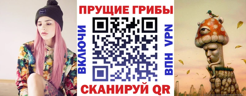 Галлюциногенные грибы Cubensis  Северск 